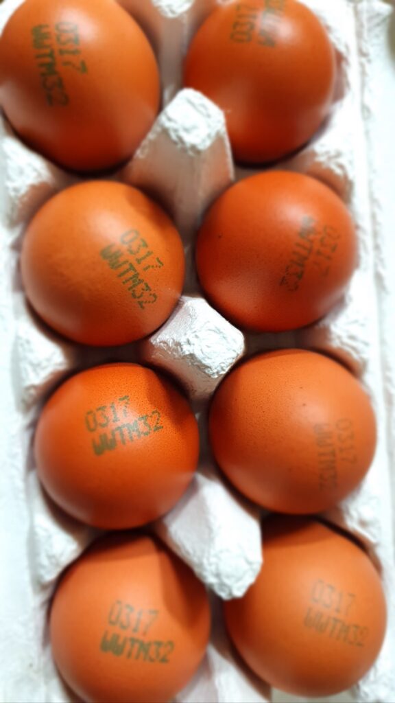 유정란, 청란, 방사란 당신이 알고 있던 3가지 계란 상식!