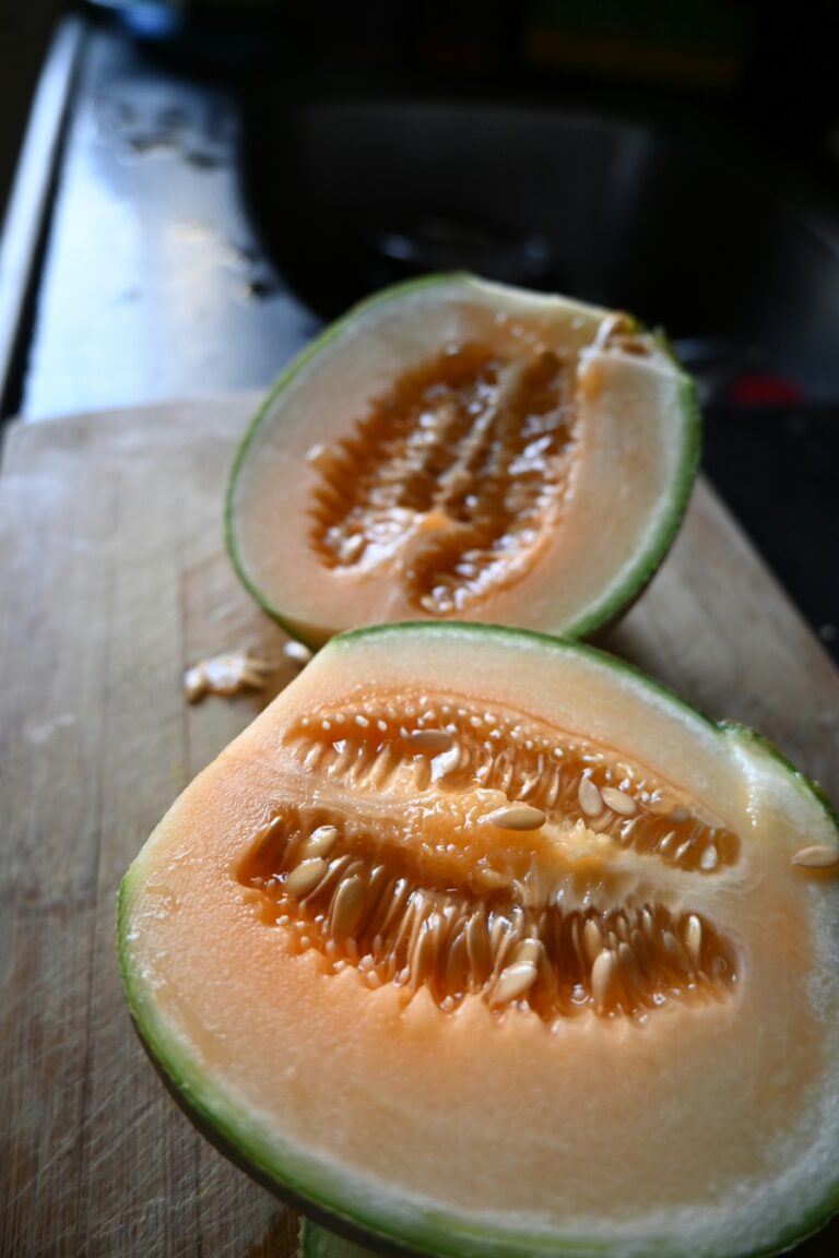 🍈 참외 완전정복! 알고 먹으면 더 맛있다