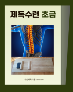 제독수련 초급