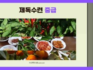 제독수련 중급