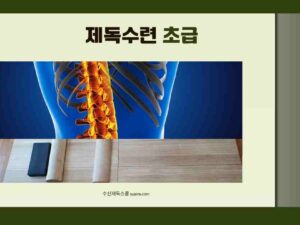 제독수련 초급