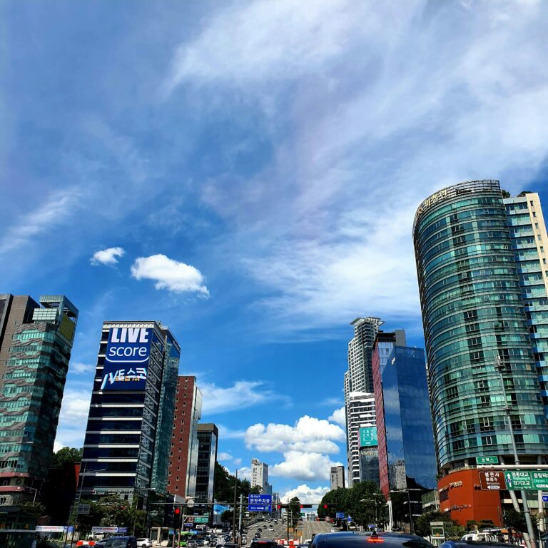 전 세계가 증명하는 강남부동산 전망