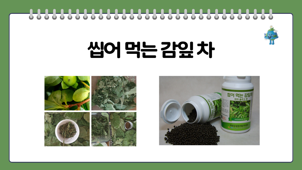 감잎환