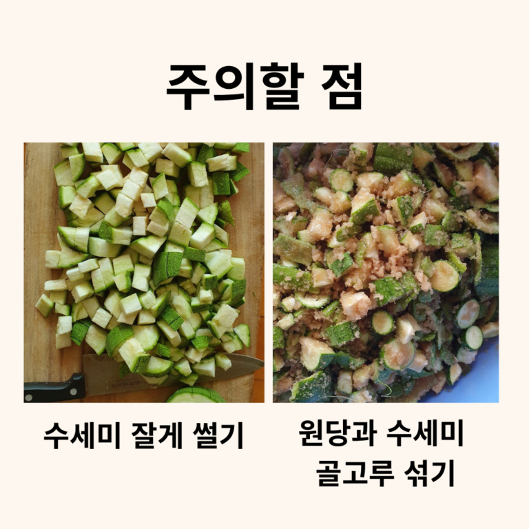 숏츠 영상: 수세미효소 담그는 법