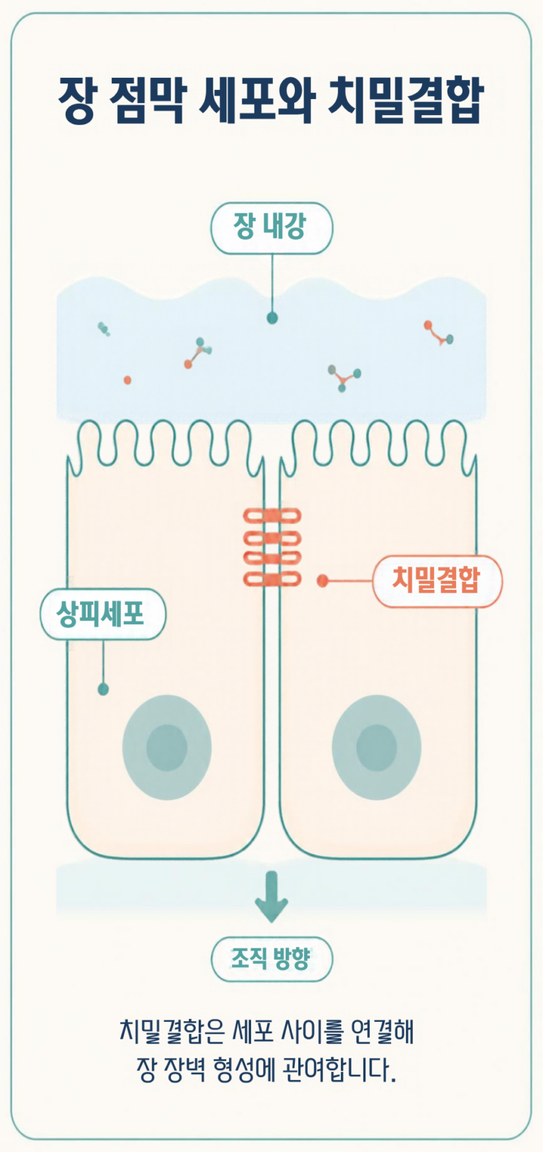 장누수증후군이란? 원인과 증상, 생활 속 관리법